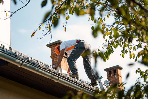 Best Local Roofing Companies  in Three Way, TN