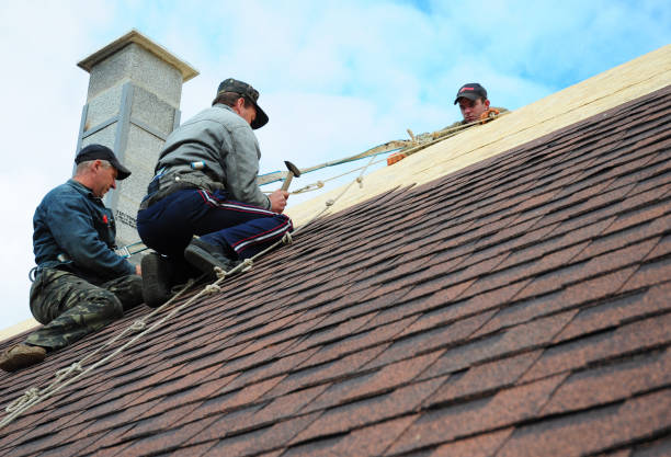 Quick and Trustworthy Emergency Roof Repair Services in Three Way, TN